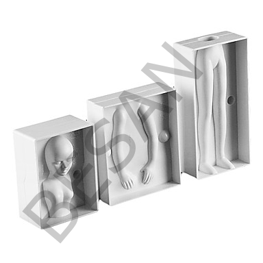 İNSAN MODELLEME KALIBI ( KADIN)