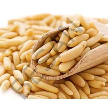DOLMALIK FISTIK ÇAM FISTIĞI 50gr.